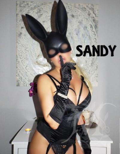 Sandy 4