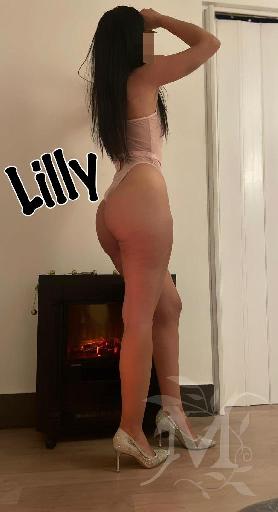 Lilly 14