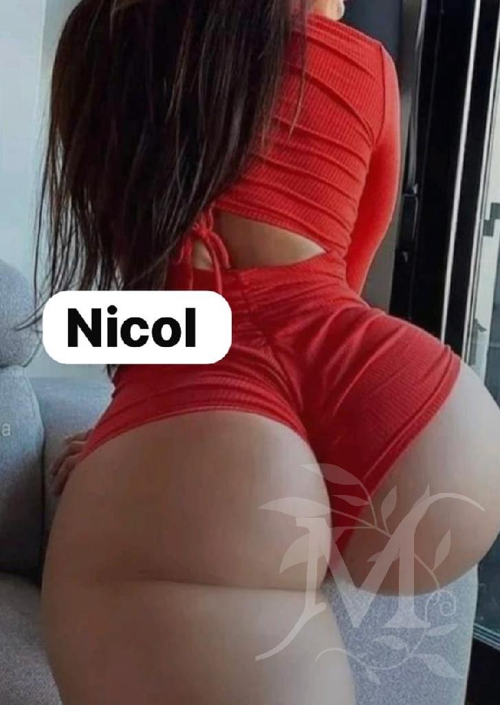 Nicol Italiana 4