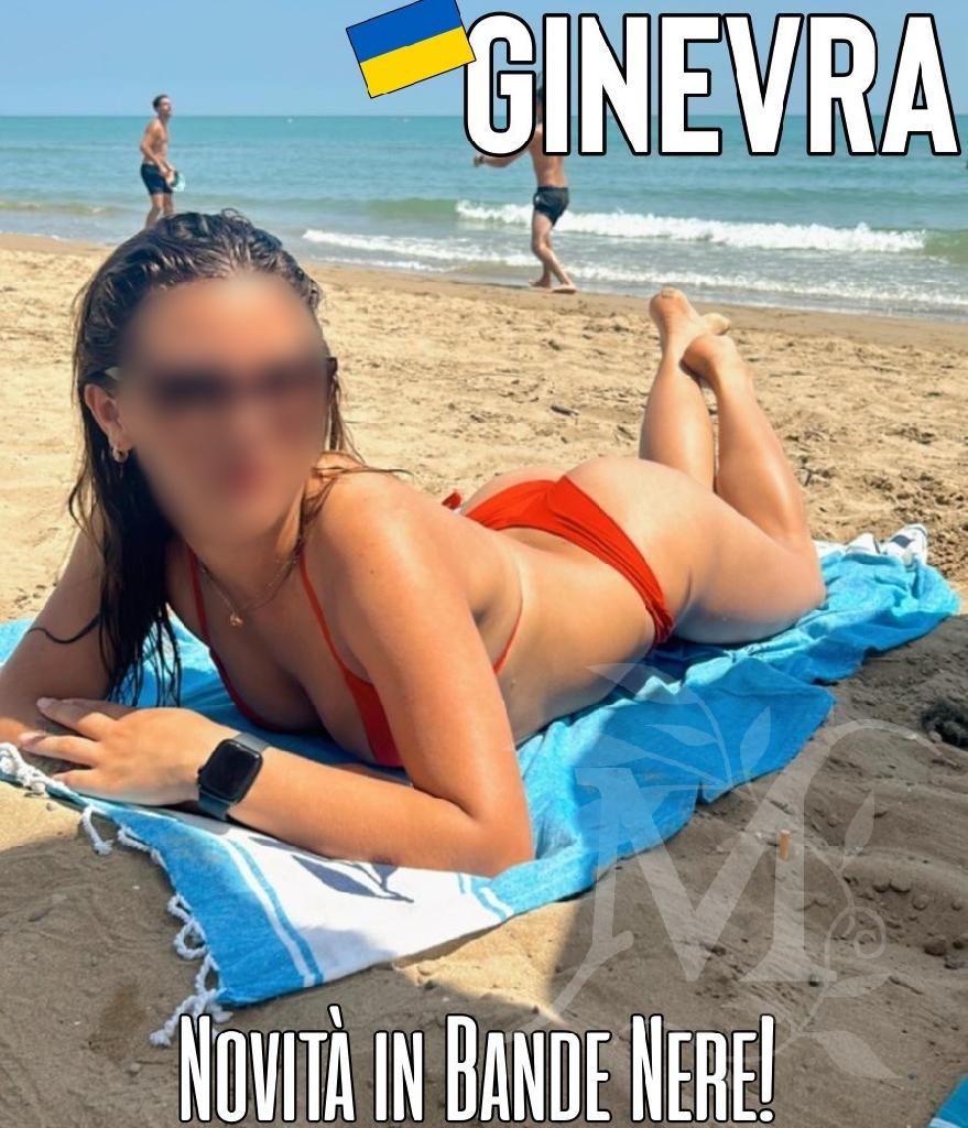 Ginevra 7