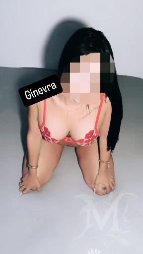 Ginevra 3