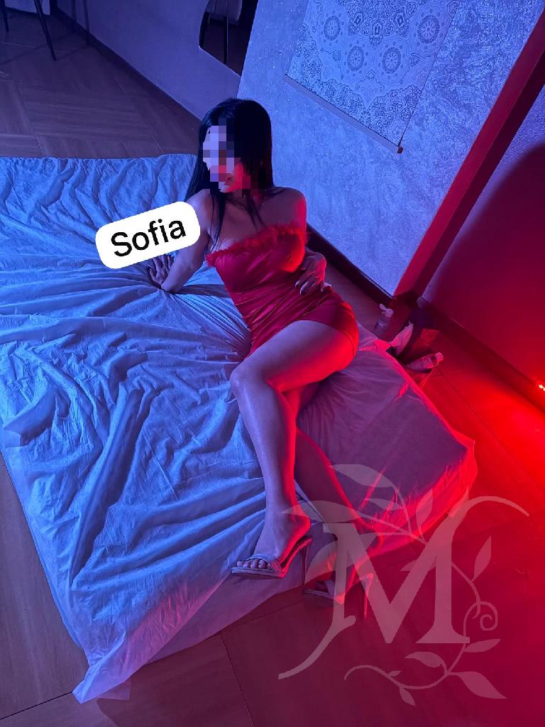 Sofia italiana 19 anni! 1