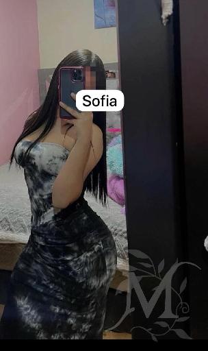 Sofia 6